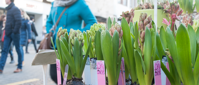 le langage des fleurs by le marché aux fleurs